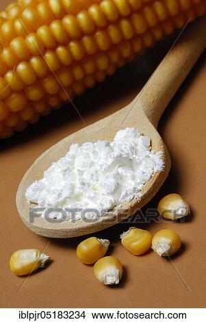 Picture - Corn starch (Speisestärke) in cooking spoon, corn grains, starch, Mondamin. Fotosearch