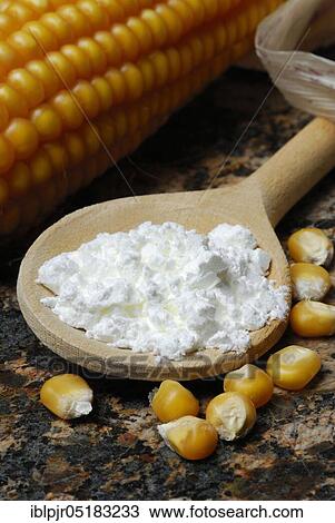 Corn starch (Speisestärke) in cooking spoon, corn grains, starch, Mondamin View Large Photo Image Stock Image - Corn starch (Speisestärke) in cooking spoon, corn grains, starch, Mondamin. Fotosearch