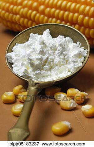 Stock Photo - Corn starch (Speisestärke) in cooking spoon, corn grains, starch, Mondamin. Fotosearch