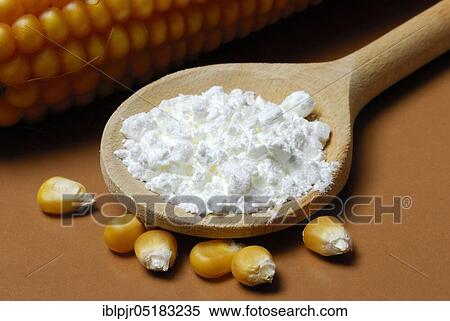 Stock Photography - Corn starch (Speisestärke) in cooking spoon, corn grains, starch, Mondamin. Fotosearch