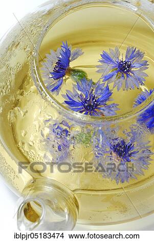 Picture - Cornflowerstea, -tea. Fotosearch
