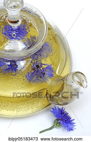 Stock Image - Cornflowerstea, -tea. Fotosearch