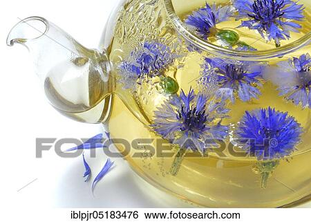 Stock Photograph - Cornflowerstea, -tea. Fotosearch