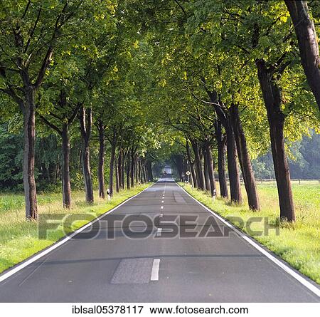 Country road, Lower Saxony, Germany, Europe View Large Photo Image Stock Photo - Country road, Lower Saxony, Germany, Europe. Fotosearch