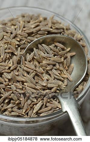 Stock Photo - Cumin ( Cuminum cyminum) with spoon, seed. Fotosearch