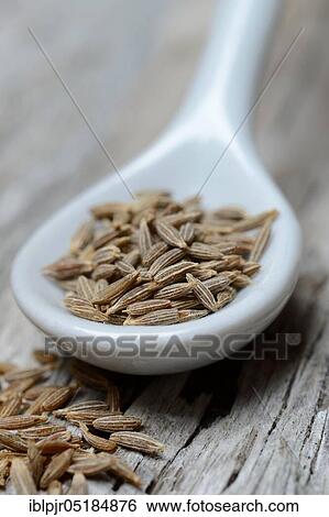 Stock Photograph - Cumin ( Cuminum cyminum) with spoon, seed. Fotosearch