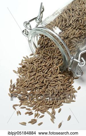 Picture - Cumin, seeds in glass jar ( Aluminium Cyminum). Fotosearch