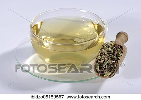 Cup 7 x 7 herbal tea, 49 ingredients from herbs, seeds, spices, roots, flowers View Large Photo Image Stock Photo - Cup 7 x 7 herbal tea, 49 ingredients from herbs, seeds, spices, roots, flowers. Fotosearch