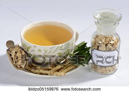 Stock Photograph - Cup celery root tea (Radix Apii), celery root tea, tea cup. Fotosearch