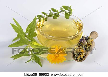 Cup herbal tea, calendula (Calendula officinalis), lemon balm (Melissa officinalis), elderflower (Sambucus nigra), thyme, lemon verbena (Aloysia citrodora), cornflower (Centaurea cyanus), mallow (Thymus vulgaris), malva alc View Large Photo Image Stock Image - Cup herbal tea, calendula (Calendula officinalis), lemon balm (Melissa officinalis), elderflower (Sambucus nigra), thyme, lemon verbena (Aloysia citrodora), cornflower (Centaurea cyanus), mallow (Thymus vulgaris), malva alc. Fotosearch