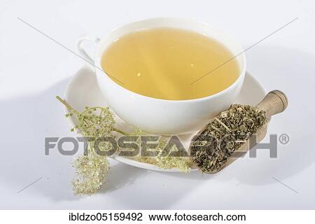 Stock Image - Cup meadowsweet tea (Filipendula ulmaria), meadowsweet, legume, honeysuckle, spikeweed, meadow queen, wild lilac, cramping herb, meadowsweet tea, meadowsweet tea, tea strainer. Fotosearch