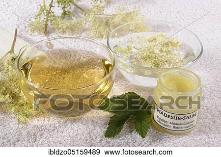Cup meadowsweet tea (Filipendula ulmaria) meadowsweet ointment, meadowsweet, legume, honeysuckle, sparrowhawk, meadow queen, wild lilac, cramping herb, meadowsweet tea, meadowsweet tea View Large Photo Image Stock Photo - Cup meadowsweet tea (Filipendula ulmaria) meadowsweet ointment, meadowsweet, legume, honeysuckle, sparrowhawk, meadow queen, wild lilac, cramping herb, meadowsweet tea, meadowsweet tea. Fotosearch