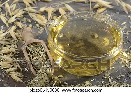 Cup oat straw tea (Avena sativa), oats View Large Photo Image Stock Image - Cup oat straw tea (Avena sativa), oats. Fotosearch