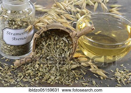 Cup oat straw tea (Avena sativa), oats View Large Photo Image Stock Image - Cup oat straw tea (Avena sativa), oats. Fotosearch