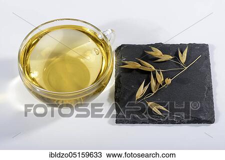 Cup oat straw tea (Avena sativa), oats View Large Photo Image Stock Image - Cup oat straw tea (Avena sativa), oats. Fotosearch