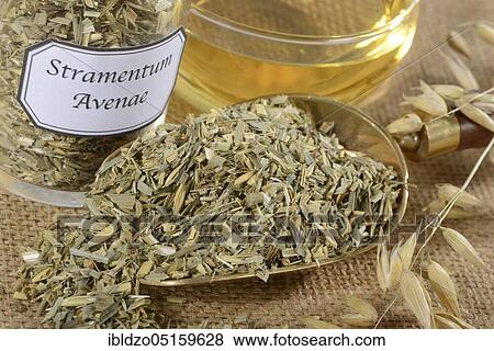 Cup oat straw tea (Avena sativa), oats View Large Photo Image Stock Photo - Cup oat straw tea (Avena sativa), oats. Fotosearch