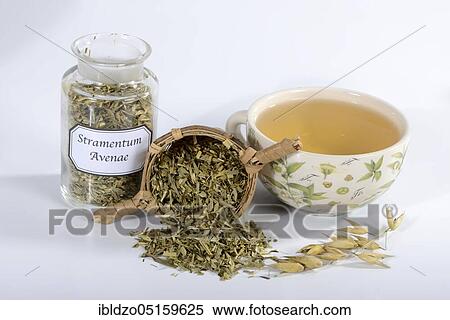 Cup oat straw tea (Avena sativa), oats, tea strainer View Large Photo Image Stock Photography - Cup oat straw tea (Avena sativa), oats, tea strainer. Fotosearch