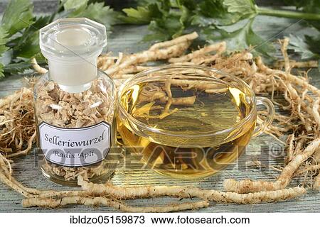 Cup of celery root tea (Radix Apii), celery root tea View Large Photo Image Stock Image - Cup of celery root tea (Radix Apii), celery root tea. Fotosearch