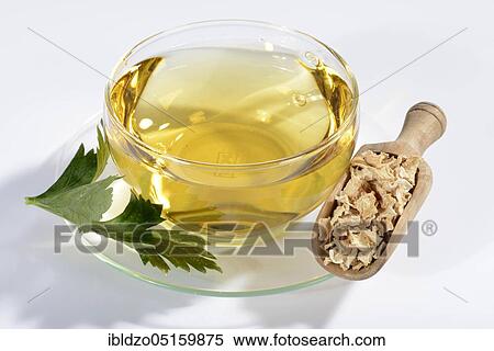 Stock Photography - Cup of celery root tea (Radix Apii), celery root tea. Fotosearch