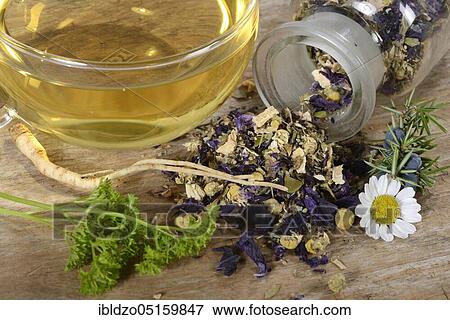 Cup of Prostate tea, willowherb, parsley root, bearberry leaf, german camomile, matricaria chamomilla, smooth rupturewort, blossoms of mallow, juniper berries, caraway, (Glandula prostatica), (Matricaria chamomilla), (Herniaria glabra), (Malvae flo... View Large Photo Image Stock Photo - Cup of Prostate tea, willowherb, parsley root, bearberry leaf, german camomile, matricaria chamomilla, smooth rupturewort, blossoms of mallow, juniper berries, caraway, (Glandula prostatica), (Matricaria chamomilla), (Herniaria glabra), (Malvae flo.... Fotosearch