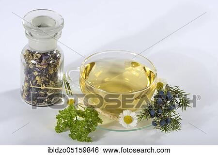 Cup of Prostate tea, willowherb, parsley root, bearberry leaf, german camomile, matricaria chamomilla, smooth rupturewort, blossoms of mallow, juniper berries, caraway, (Glandula prostatica), (Matricaria chamomilla), (Herniaria glabra), (Malvae flo... View Large Photo Image Stock Photograph - Cup of Prostate tea, willowherb, parsley root, bearberry leaf, german camomile, matricaria chamomilla, smooth rupturewort, blossoms of mallow, juniper berries, caraway, (Glandula prostatica), (Matricaria chamomilla), (Herniaria glabra), (Malvae flo.... Fotosearch