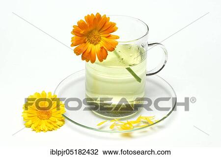 Stock Image - Cup of tea, Marigolds-tea. Fotosearch