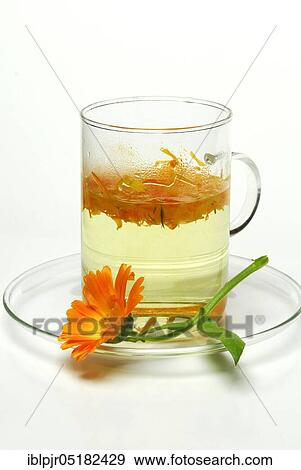Stock Photo - Cup of tea, Marigolds-tea. Fotosearch