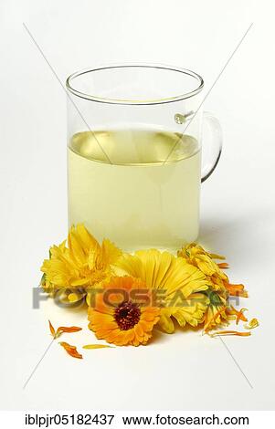 Stock Photo - Cup of tea, Marigolds-tea. Fotosearch