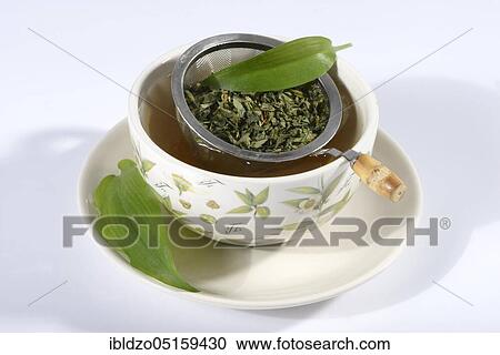 Stock Image - Cup of wild garlic tea (Allium ursinum), wild garlic, wild garlic tea, tea strainer. Fotosearch