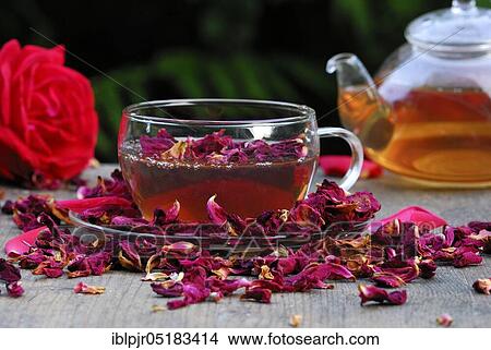 Cup rose tea and dried rose petal tea, rose petal tea View Large Photo Image Picture - Cup rose tea and dried rose petal tea, rose petal tea. Fotosearch
