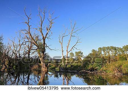 Danube-U, oxbow lake, Nendingen, Upper Danube nature park Park, Baden-Württemberg, Germany, Europe View Large Photo Image Stock Photography - Danube-U, oxbow lake, Nendingen, Upper Danube nature park Park, Baden-Württemberg, Germany, Europe. Fotosearch