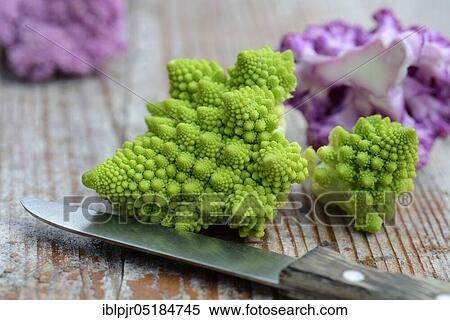 Stock Photography - Different varieties Cauliflower ( Braßica oleracea var. botrytis) with knife, Romanesco. Fotosearch