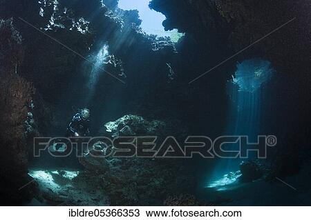 Diver in Mbuco Caves, Marovo Lagoon, Solomon Islands, Oceania View Large Photo Image Stock Image - Diver in Mbuco Caves, Marovo Lagoon, Solomon Islands, Oceania. Fotosearch