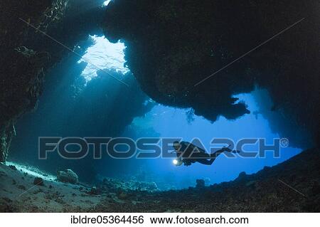 Diver in underwater cave, Cave Reef, Red Sea, Egypt, Africa View Large Photo Image Stock Photograph - Diver in underwater cave, Cave Reef, Red Sea, Egypt, Africa. Fotosearch