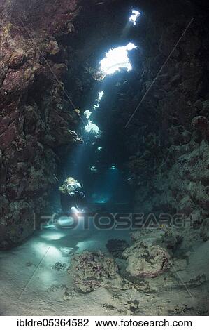 Diver in underwater cave, Zabargad, Red Sea, Egypt, Africa View Large Photo Image Stock Image - Diver in underwater cave, Zabargad, Red Sea, Egypt, Africa. Fotosearch