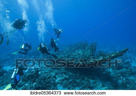 Divers on the wreck of the Heaven One, Abu Dabab, Red Sea, Egypt, Africa View Large Photo Image Stock Image - Divers on the wreck of the Heaven One, Abu Dabab, Red Sea, Egypt, Africa. Fotosearch