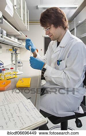 Stock Photo - Doctoral student of the Faculty of Biology at the University of Duisburg-Essen during his research work pipetting, Essen, North Rhine-Westphalia, Germany, Europe. Fotosearch