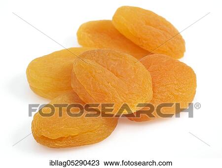 Dried apricots (Prunus armeniaca) against white background View Large Photo Image Stock Image - Dried apricots (Prunus armeniaca) against white background. Fotosearch