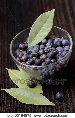 Stock Photography - Dried juniper berries ( Juniperus communis) in brass ladle, dried bay leaves( Laurus nobilis), bay leaves. Fotosearch