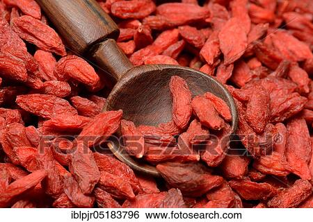 Stock Photograph - Dried (Lycium barbarum), wooden spoon. Fotosearch