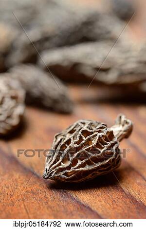 Dried morels ( Morchella conica), Edible morel View Large Photo Image Stock Image - Dried morels ( Morchella conica), Edible morel. Fotosearch
