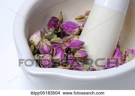 Picture - Dried rose buds are crushed in mortar, grated, bud, bud. Fotosearch