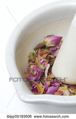 Dried rose buds are crushed in mortar, grated, bud, bud View Large Photo Image Stock Photograph - Dried rose buds are crushed in mortar, grated, bud, bud. Fotosearch