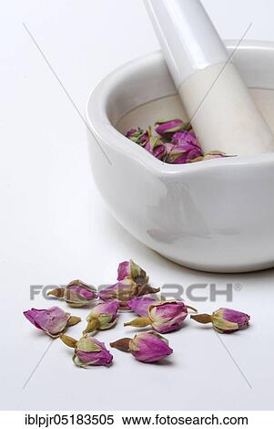 Stock Photography - Dried rose buds are crushed in mortar, grated, bud, bud. Fotosearch