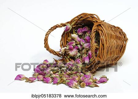 Dried rosebuds in baskets, flower tea, tea, rose tea View Large Photo Image Stock Photo - Dried rosebuds in baskets, flower tea, tea, rose tea. Fotosearch