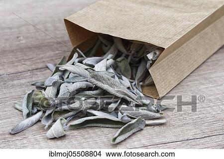 Dried sage leaves ( Salvia officinalis) View Large Photo Image Picture - Dried sage leaves ( Salvia officinalis). Fotosearch
