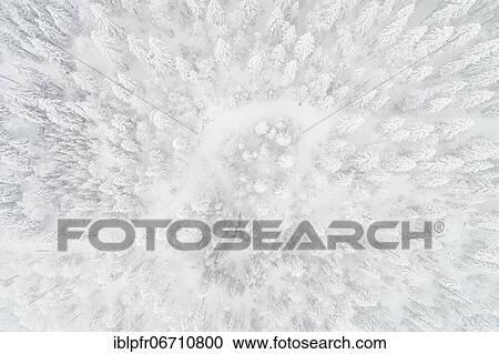 Drone shot, winter forest from above in fog, canton Zug, Switzerland, Europe View Large Photo Image Stock Image - Drone shot, winter forest from above in fog, canton Zug, Switzerland, Europe. Fotosearch