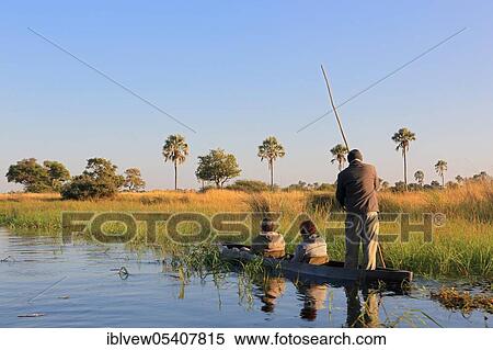 Stock Photography - Dugout boat, mokoro, macalani palm (Hyphaene petersiana) floodplain, Okavango Delta, Botswana, Africa. Fotosearch