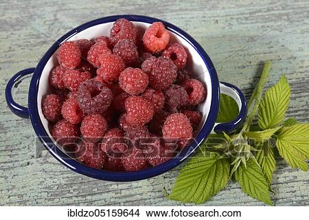 European Red Raspberries (Rubus idaeus) View Large Photo Image Picture - European Red Raspberries (Rubus idaeus). Fotosearch