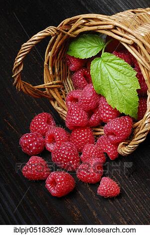 Stock Photo - European Red Raspberries (Rubus idaeus). Fotosearch